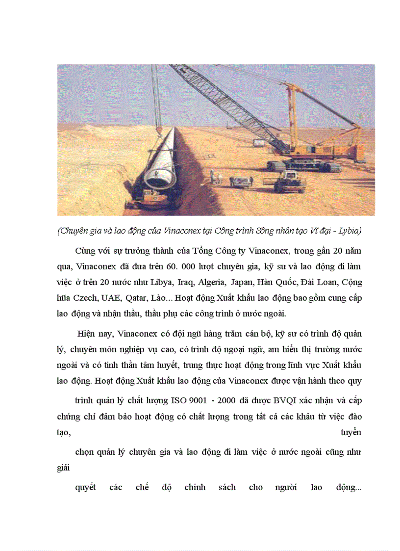 image for page Tác động của tự do hóa thương mại tới dịch vụ xuất khẩu lao động của Tổng công ty xuất nhập khẩu và xây dựng Việt Nam