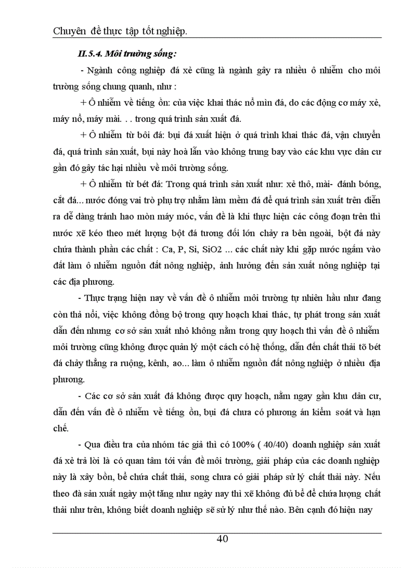 image for page Tỉnh Thanh Hoá là một trong những tỉnh có nhiều tài nguyên thiên nhiên phục vụ cho ngành khai thác và sản xuất vật liệu xây dựng, trong đó ngành Công nghiệp sản xuất đá xẻ là một ví dụ