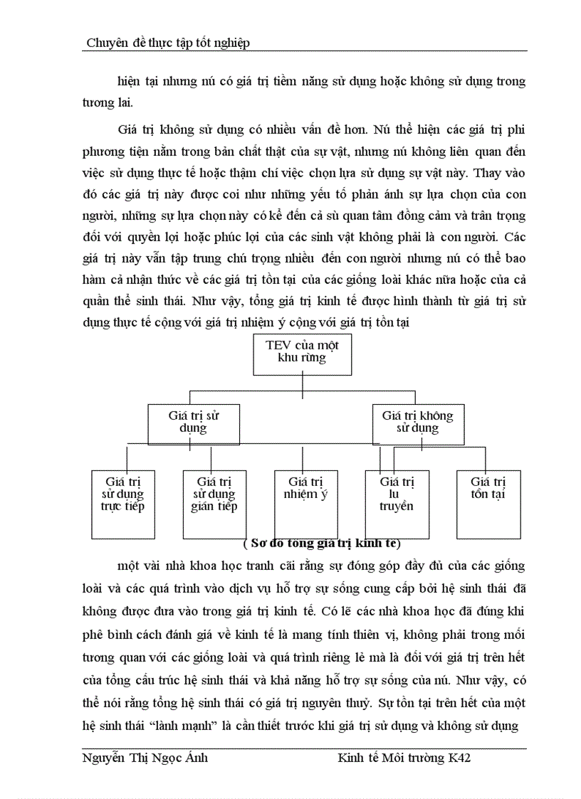 image for page Bước đầu đánh giá tổng giá trị kinh tế của rừng Dẻ xã Hoàng Hoa Thám - Chí Linh - Hải Dương cho việc hoạch định chính sách duy trì rừng Dẻ này