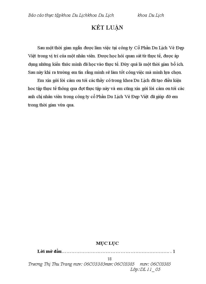 image for page Một số giải pháp nhằm nâng cao hiệu quả kinh doanh lữ hành tại công ty Cổ Phần Du Lịch Vẻ Đẹp Việt.