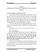 Báo cáo tổng hợp công ty TNHH thương mại Thành Nguyên