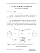 Theoretical background of investment companies