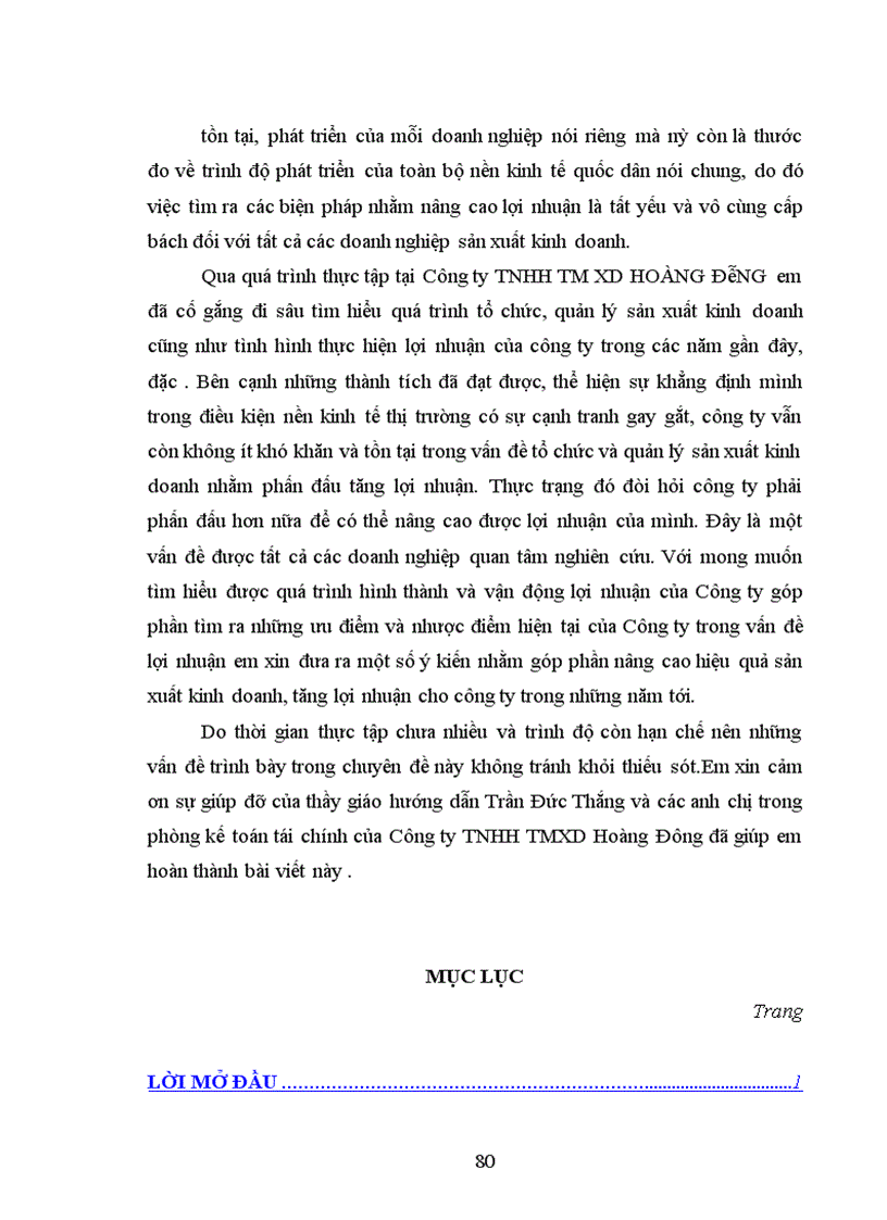 image for page Lợi nhuận tại công ty TNHHTMXD Hoàng Đông