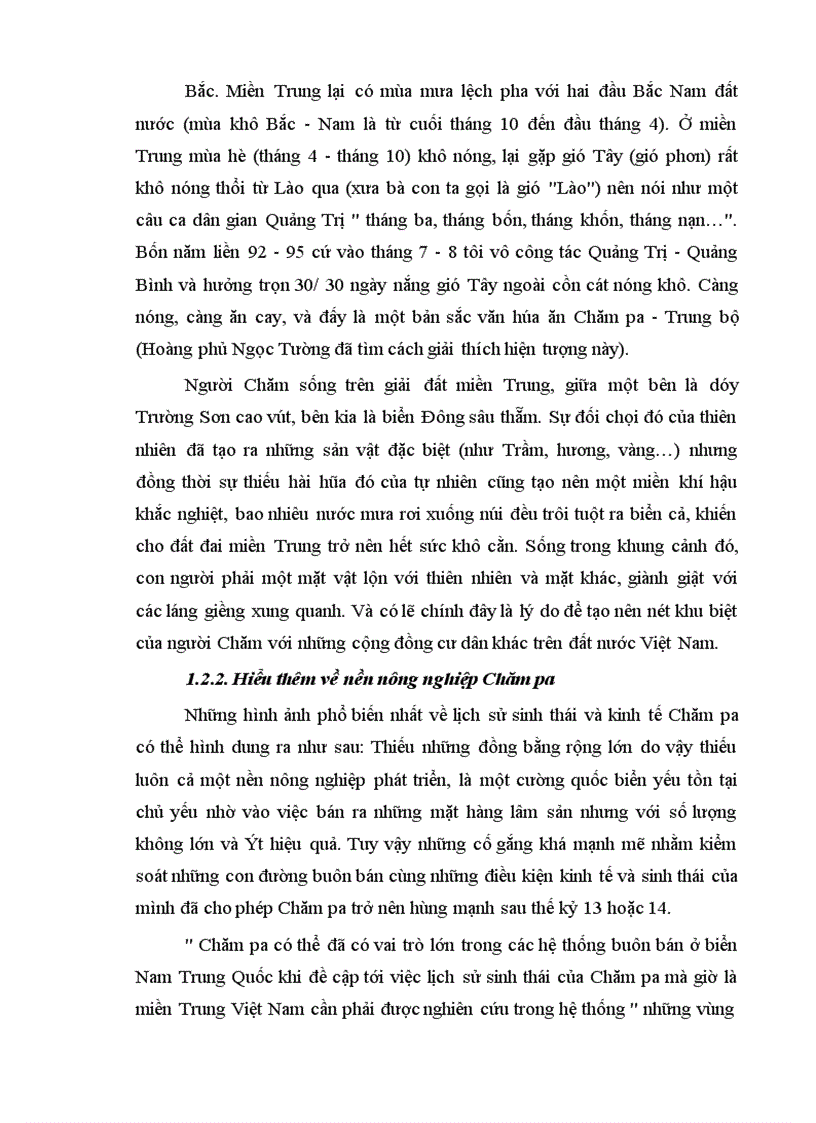 image for page Ảnh hưởng của văn hoá ấn Độ đến tộc người Chăm ở Việt Nam