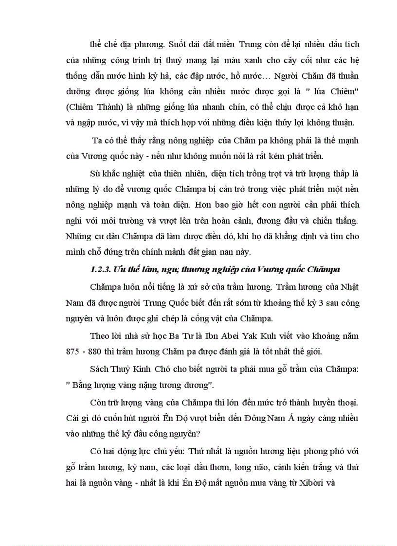 image for page Ảnh hưởng của văn hoá ấn Độ đến tộc người Chăm ở Việt Nam