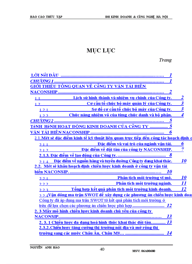 image for page Tình hình hoạt động kinh doanh của công ty vận tải biển Naconship