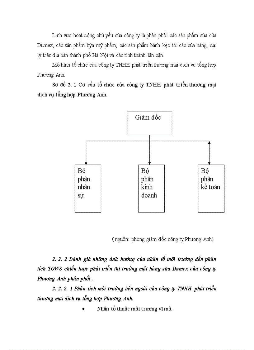 image for page Phân tích TOWS chiến lược phát triển thị trường của công ty TNHH phát triển thương mại dịch vụ tổng hợp Phương Anh