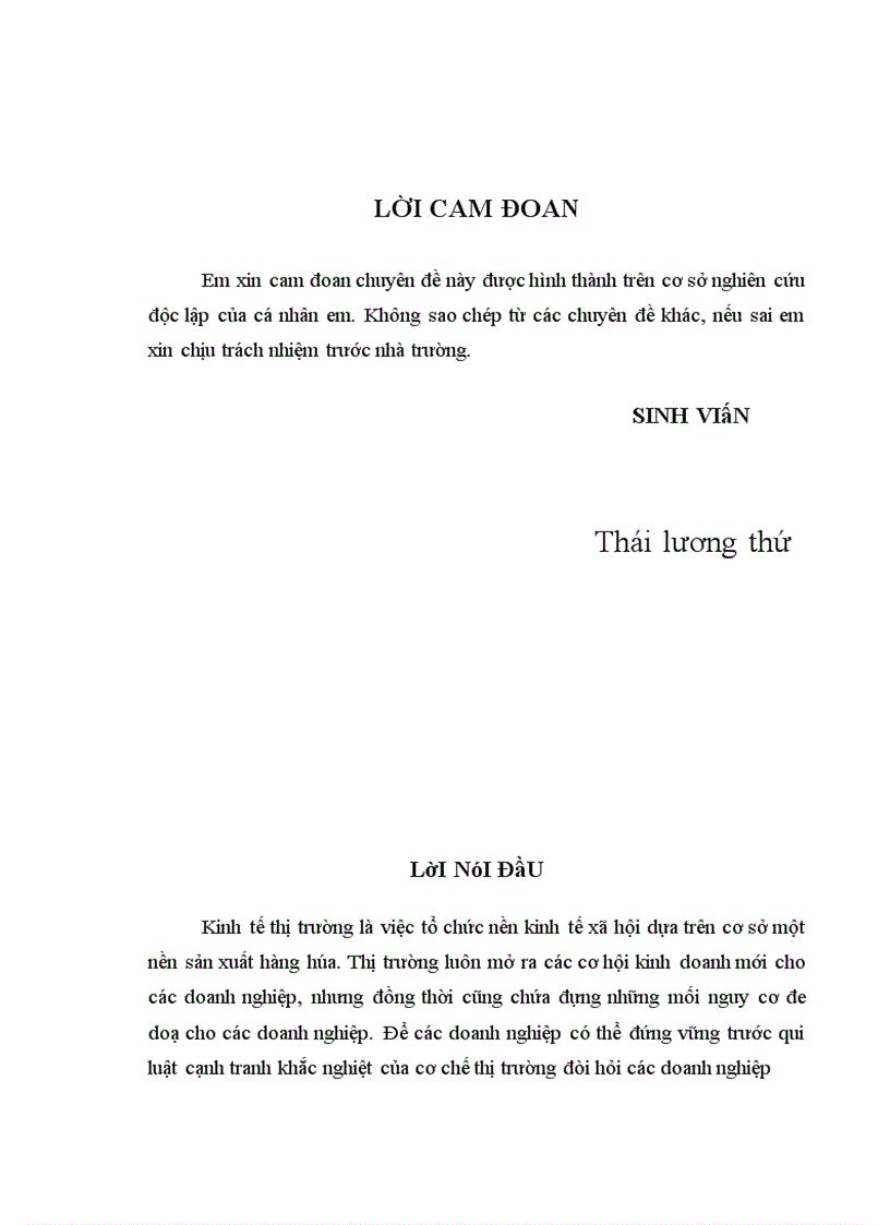 image for page Một số biện pháp chủ yếu nhằm nâng cao hiệu quả sản xuất kinh doanh ở Công ty TNHH Thái Dương