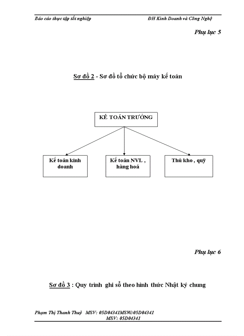 image for page Tình hình tổ chức bộ máy kế toán và tổ chức công tác kế toán tại Công Ty sản Xuất & Thương mại Việt Đức
