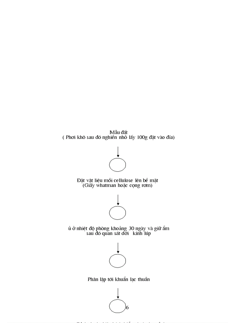 image for page Nghiên cứu bệnh học thực vật