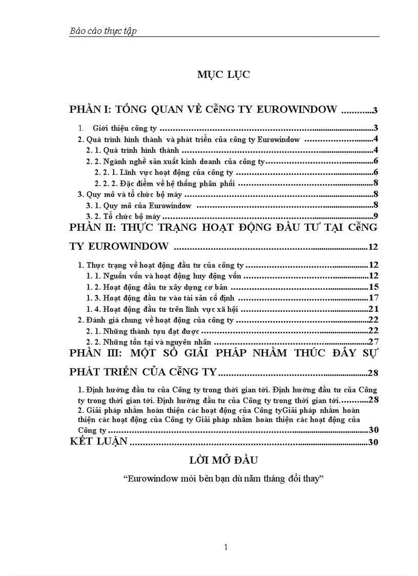 image for page Thực trạng hoạt động đầu tư tại công ty Eurowindow