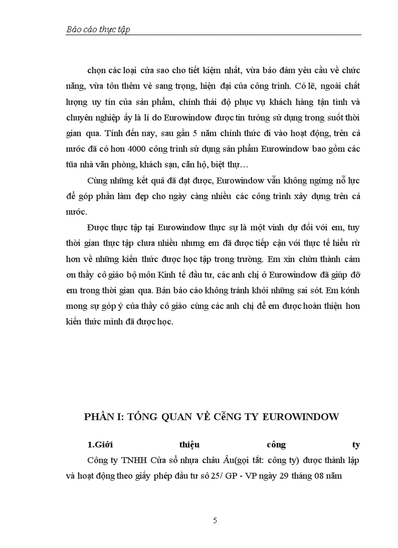 image for page Thực trạng hoạt động đầu tư tại công ty Eurowindow
