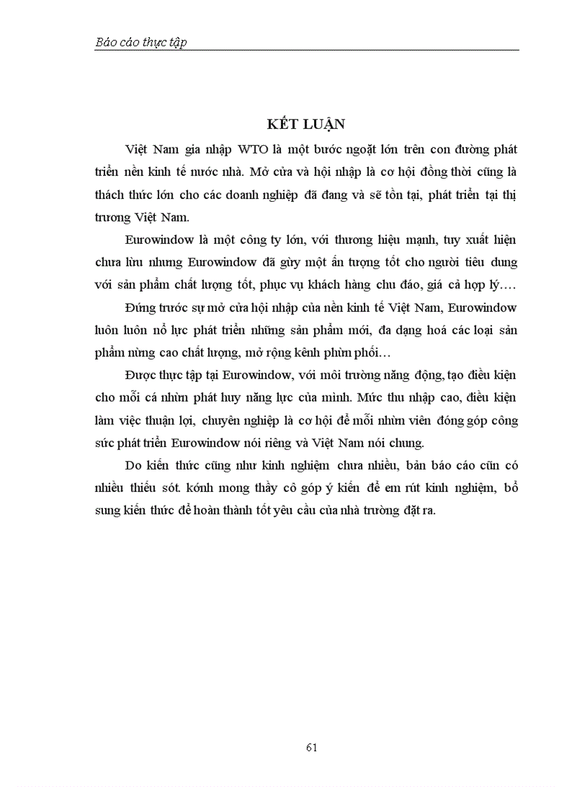 image for page Thực trạng hoạt động đầu tư tại công ty Eurowindow