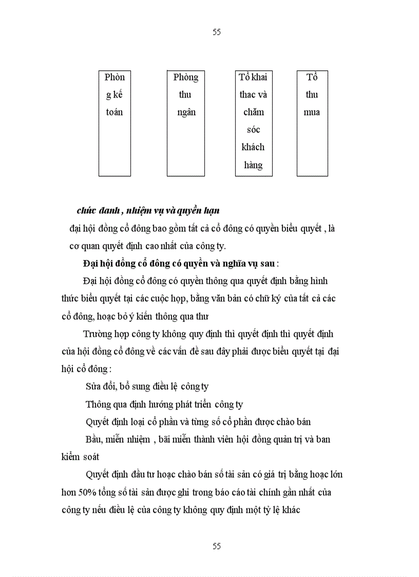 image for page Đề xuất chiến lược kinh doanh của Công ty cổ phần Phát Triển Sản Phẩm Việt