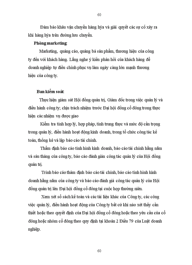 image for page Đề xuất chiến lược kinh doanh của Công ty cổ phần Phát Triển Sản Phẩm Việt