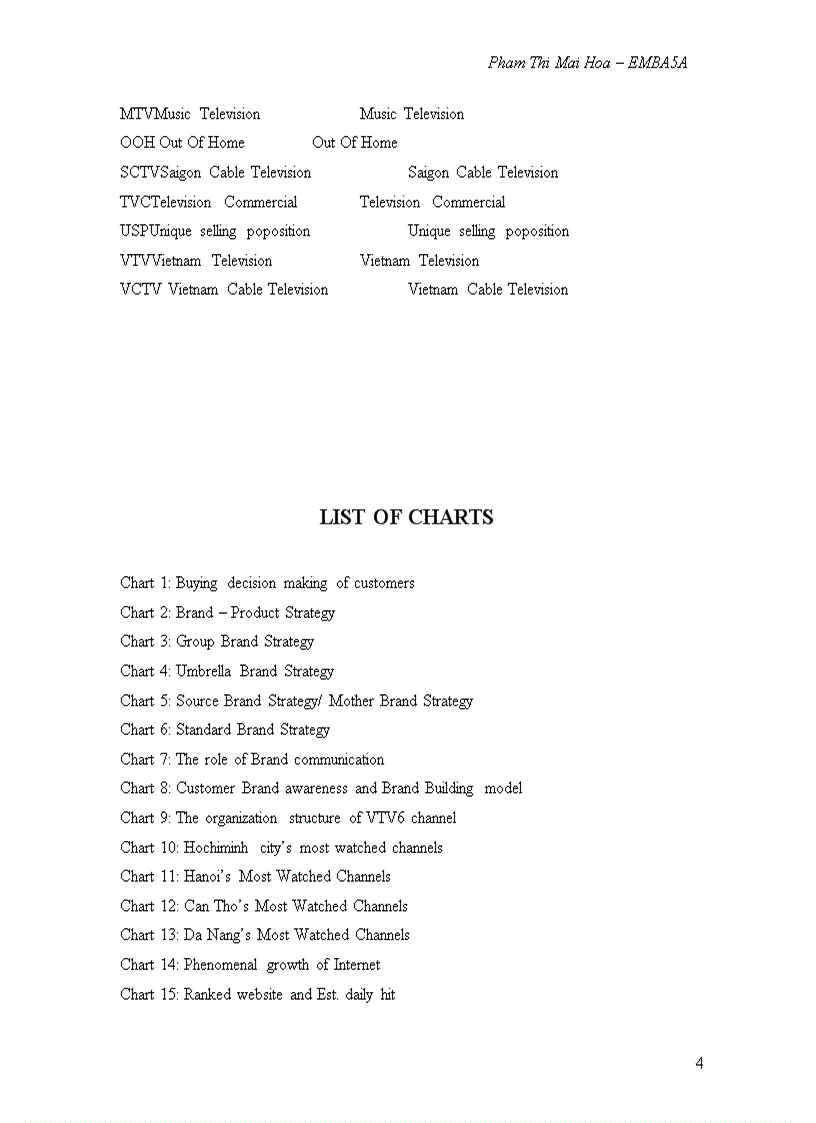 image for page The branding process of vtv6 channel
