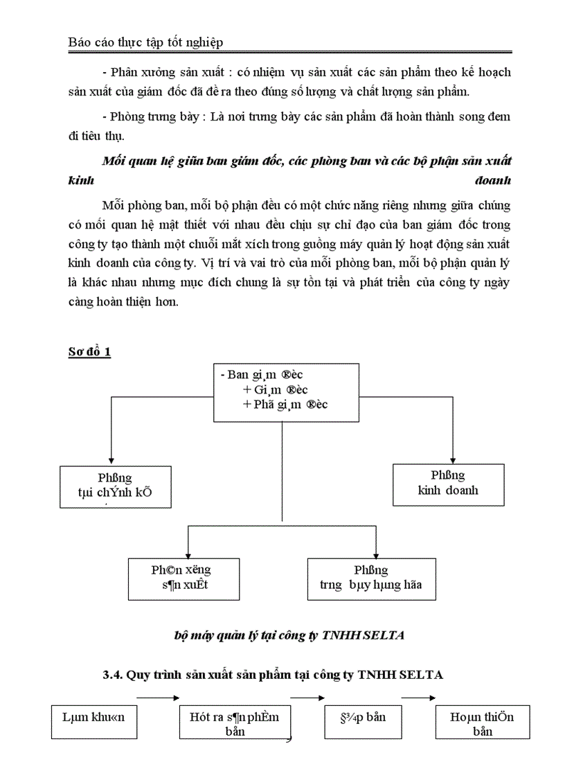 image for page Báo cáo thực tập tại công ty TNHH Selta