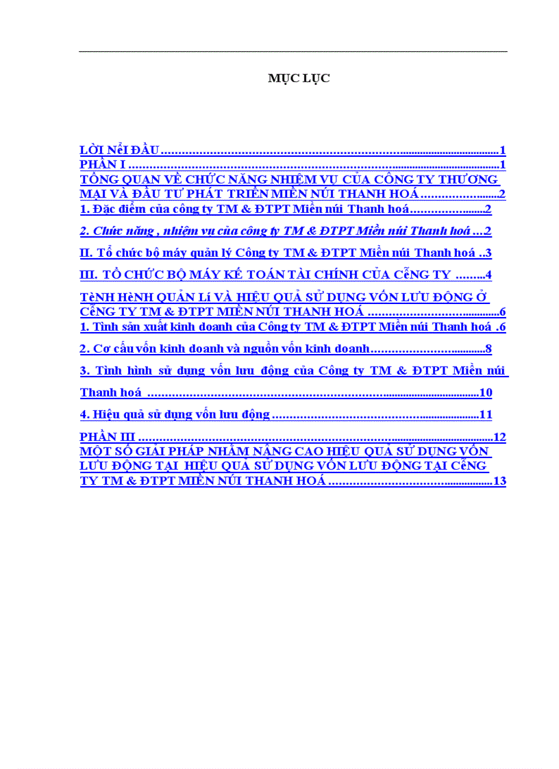 image for page Một số giải pháp nâng cao hiệu quả sử dụng vốn lưu động tại công ty Thương mại và đầu tư phát triển Miền núi Thanh Hoá
