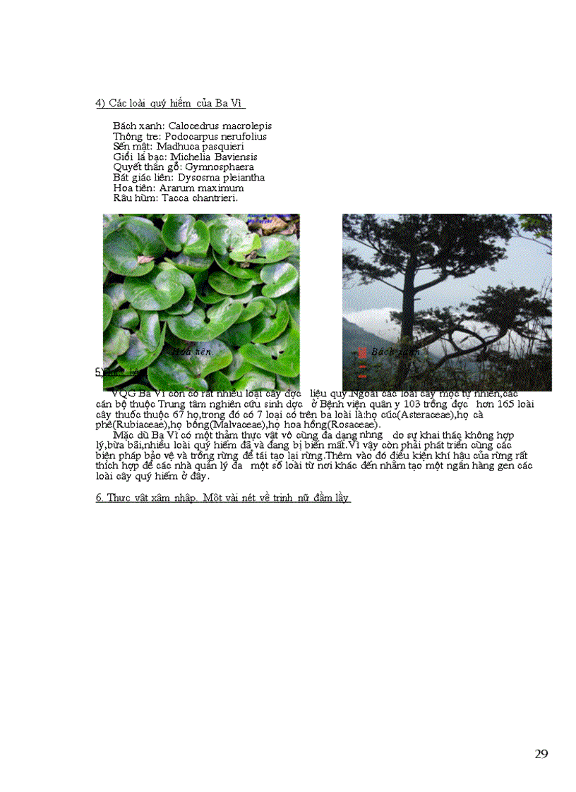 image for page Giới thiệu khái quát về Vườn Quốc Gia Ba Vì