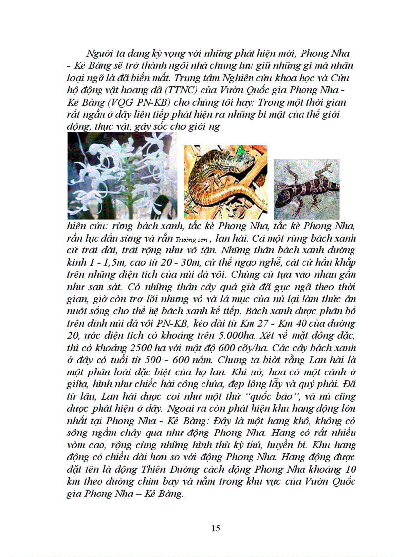 image for page Phương hướng và giải pháp nhằm phát triển du lịch bền vững ở Vườn quốc gia Phong nha-Kẻ bàng