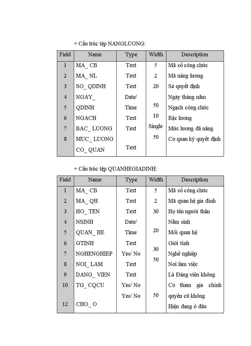 image for page Ứng dụng tin học trong công tác quản lý, điều tra lý lịch cán bộ công viên chức tại Trung tâm Tính toán Thống kê Trung Ương