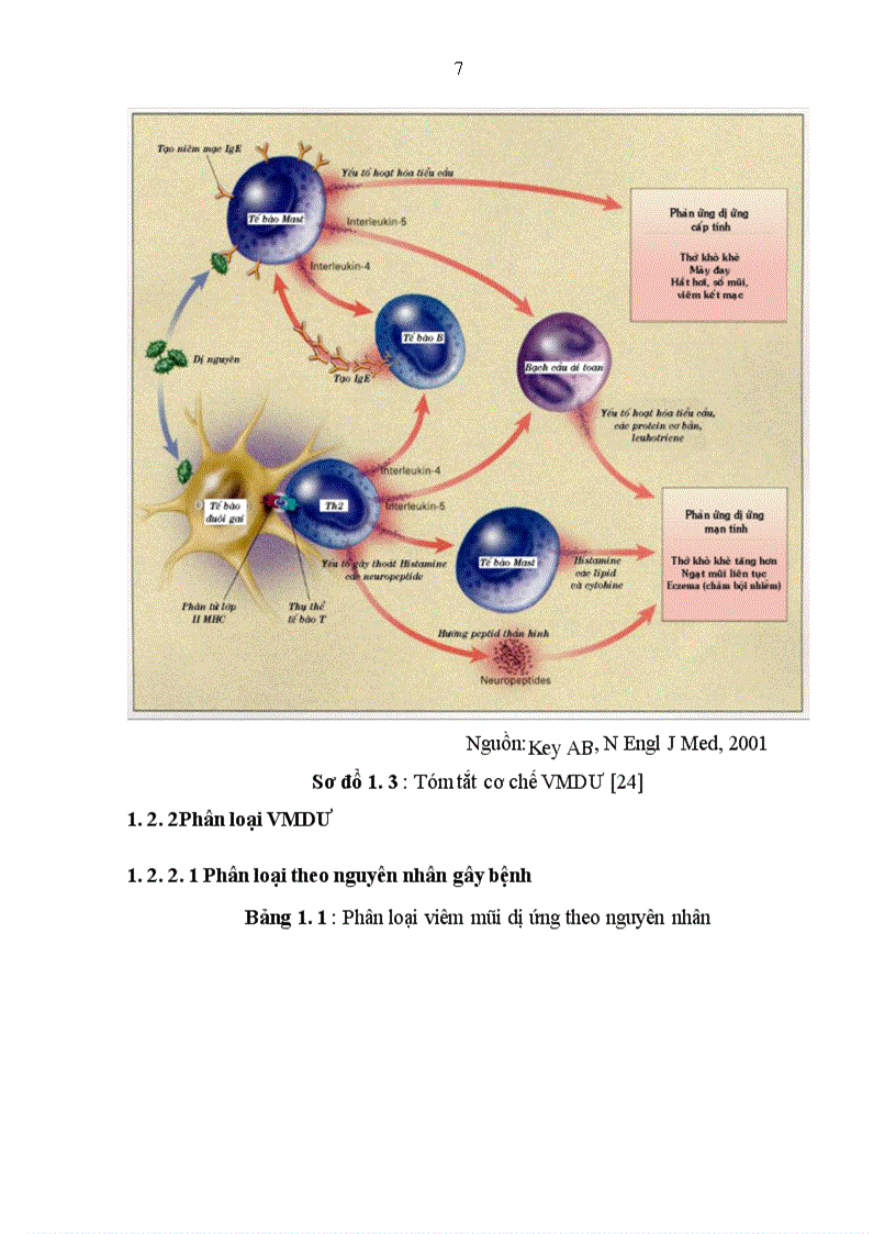 image for page Viêm mũi dị ứng và hen phế quản
