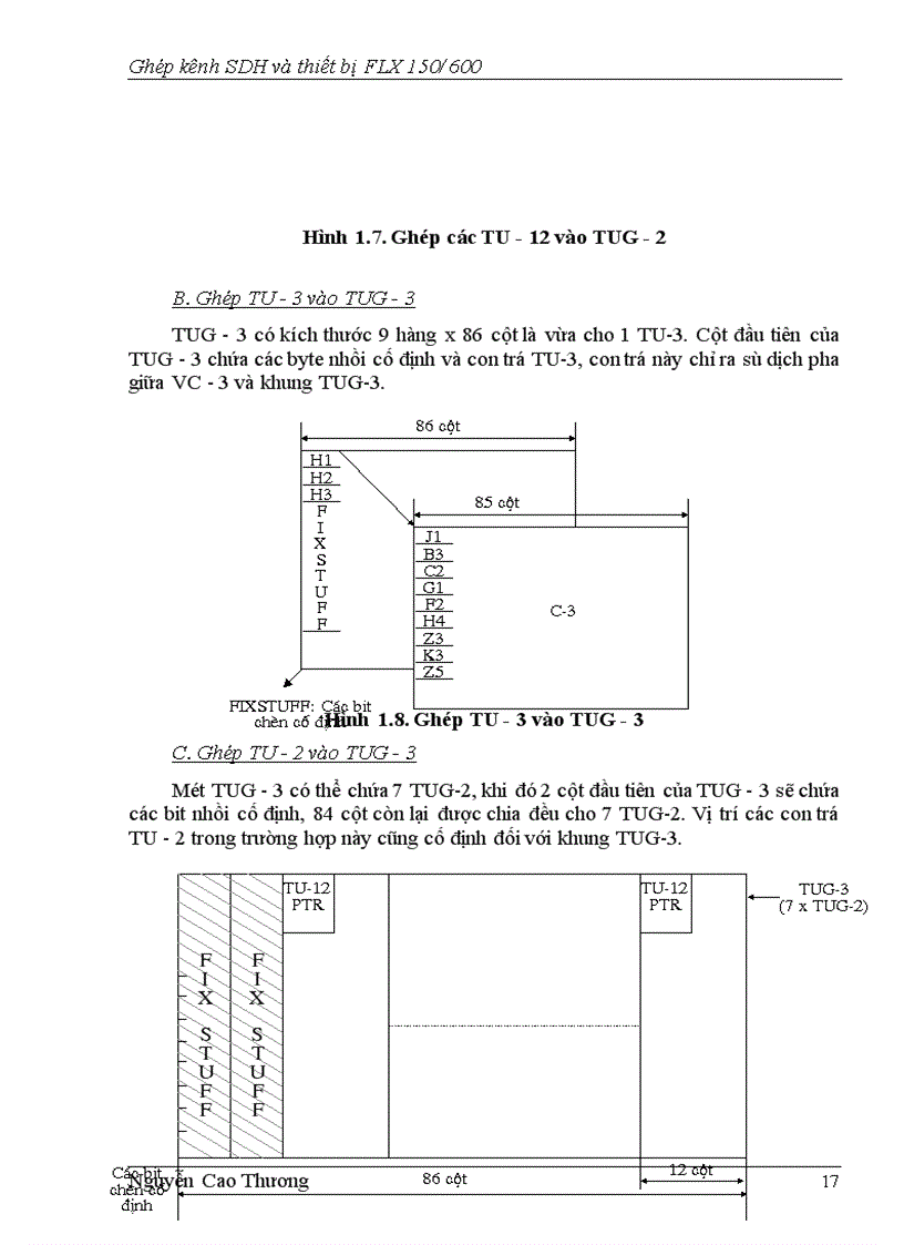 image for page Chức năng của sơ đồ khối và các chỉ thị cảnh báo các loại card trong hệ thống FLX 150/600