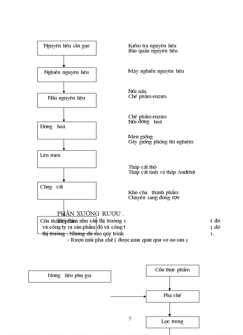 image for page Tình hình hình thành và phát triển của công ty Rượu Đồng Xuân