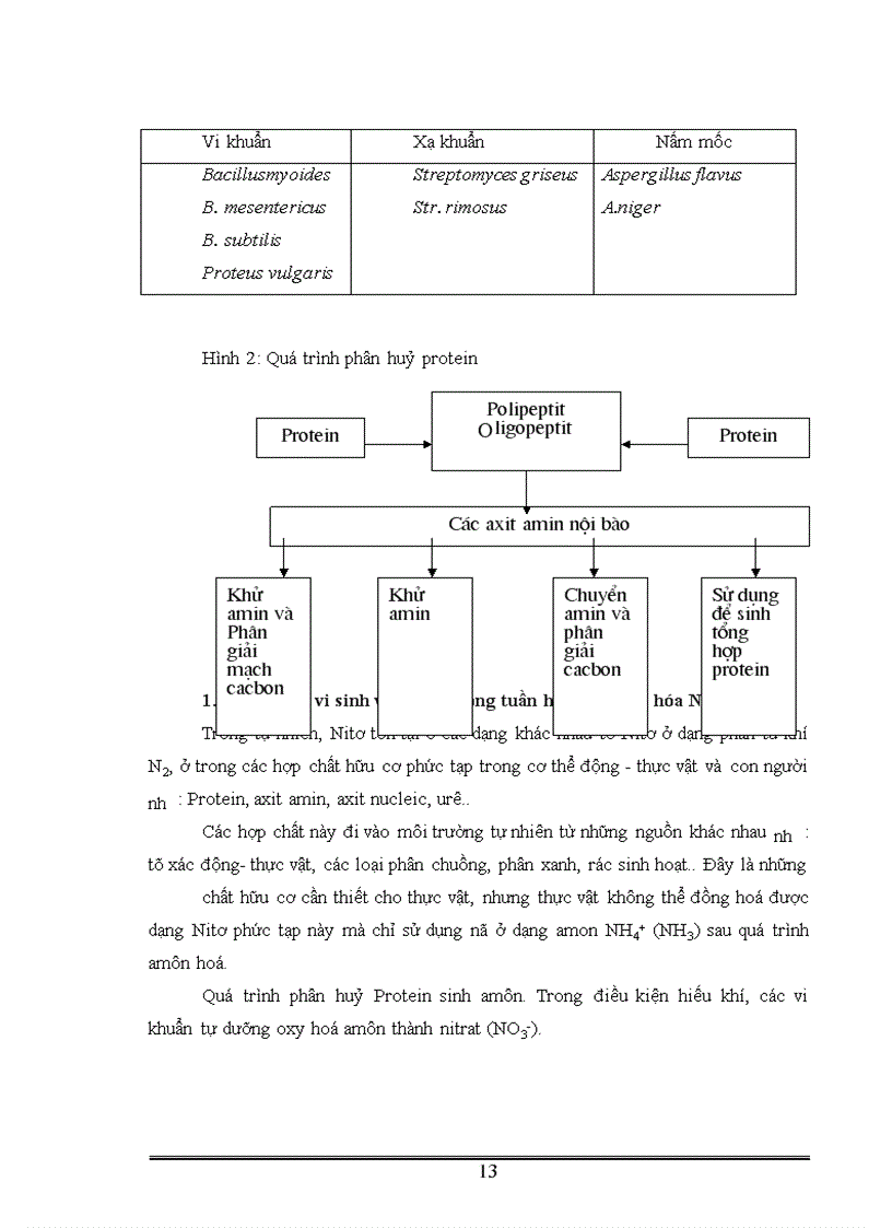 image for page Đánh giá các yếu tố ảnh hưởng và không ảnh hưởng tới quá trình giải phóng ibuprofen từ pellet ibuprofen TDKD