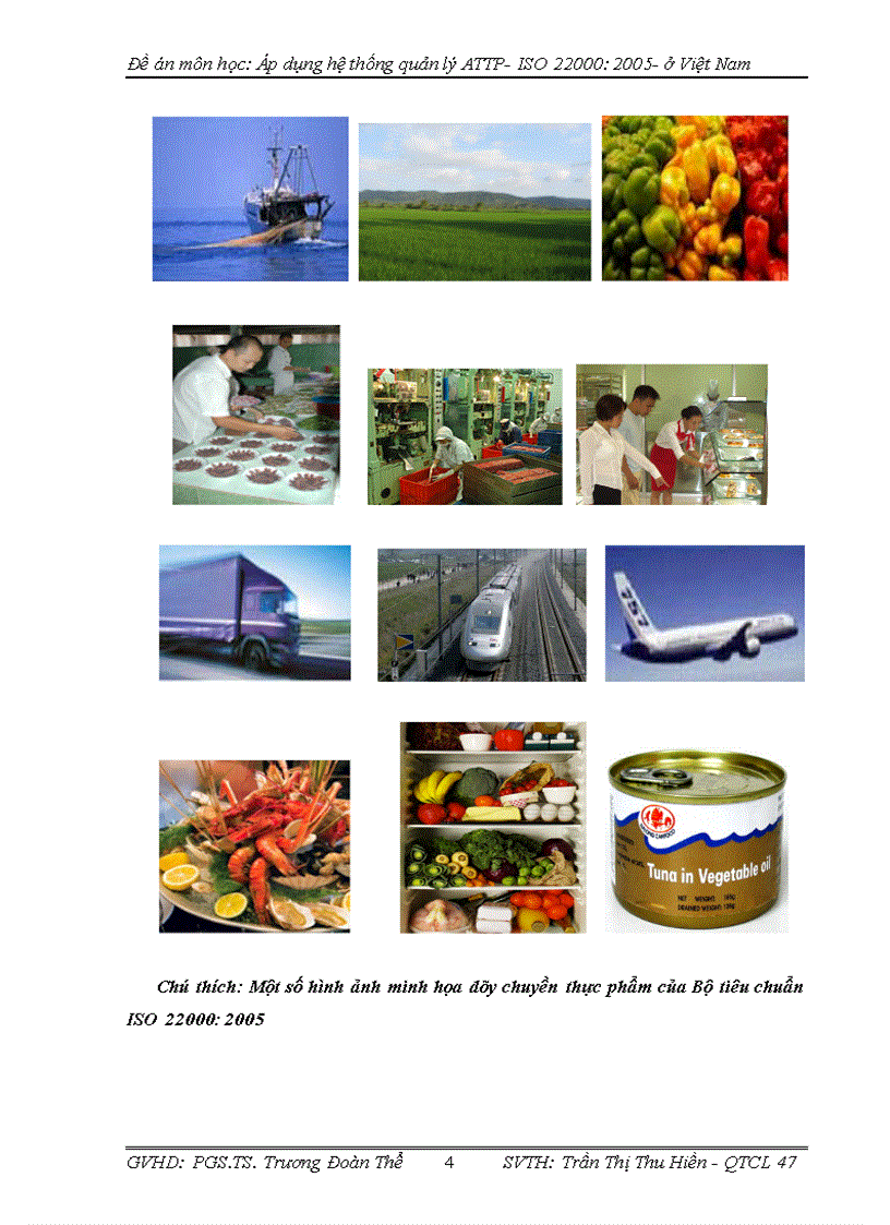 image for page Áp dụng hệ thống Quản lý an toàn thực phẩm - ISO 22000: 2005- ở Việt Nam