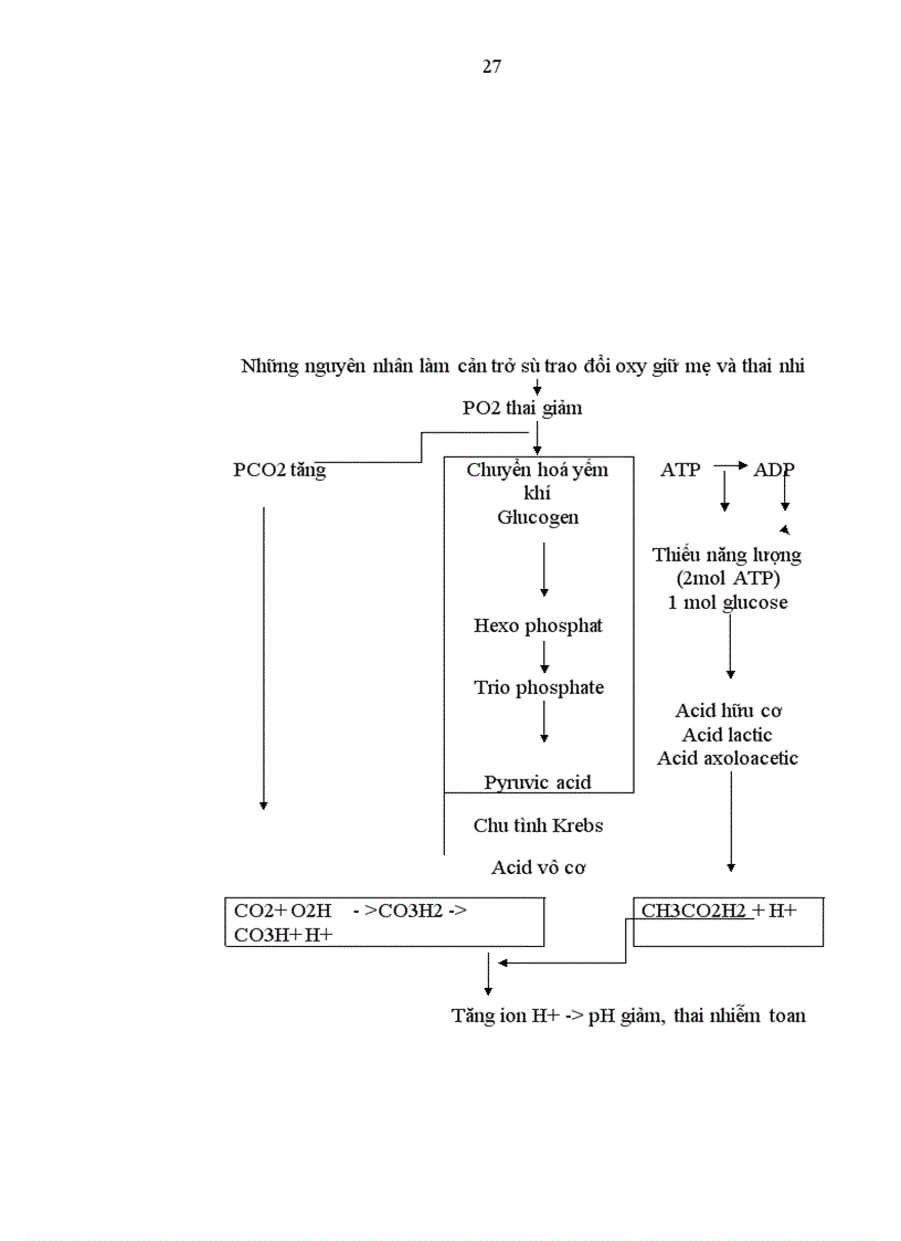 image for page Nghiên cứu giá trị tiên đoán tình trạng thai của một số thăm dò trên bệnh nhân tiền sản giật tại bvpstw