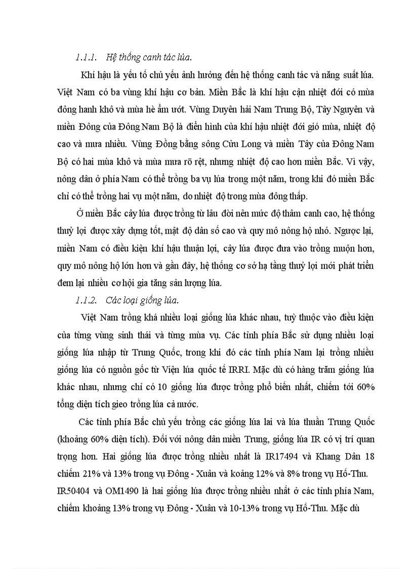 image for page Giải pháp thúc đẩy xuất khẩu gạo trong điều kiện gia nhập WTO