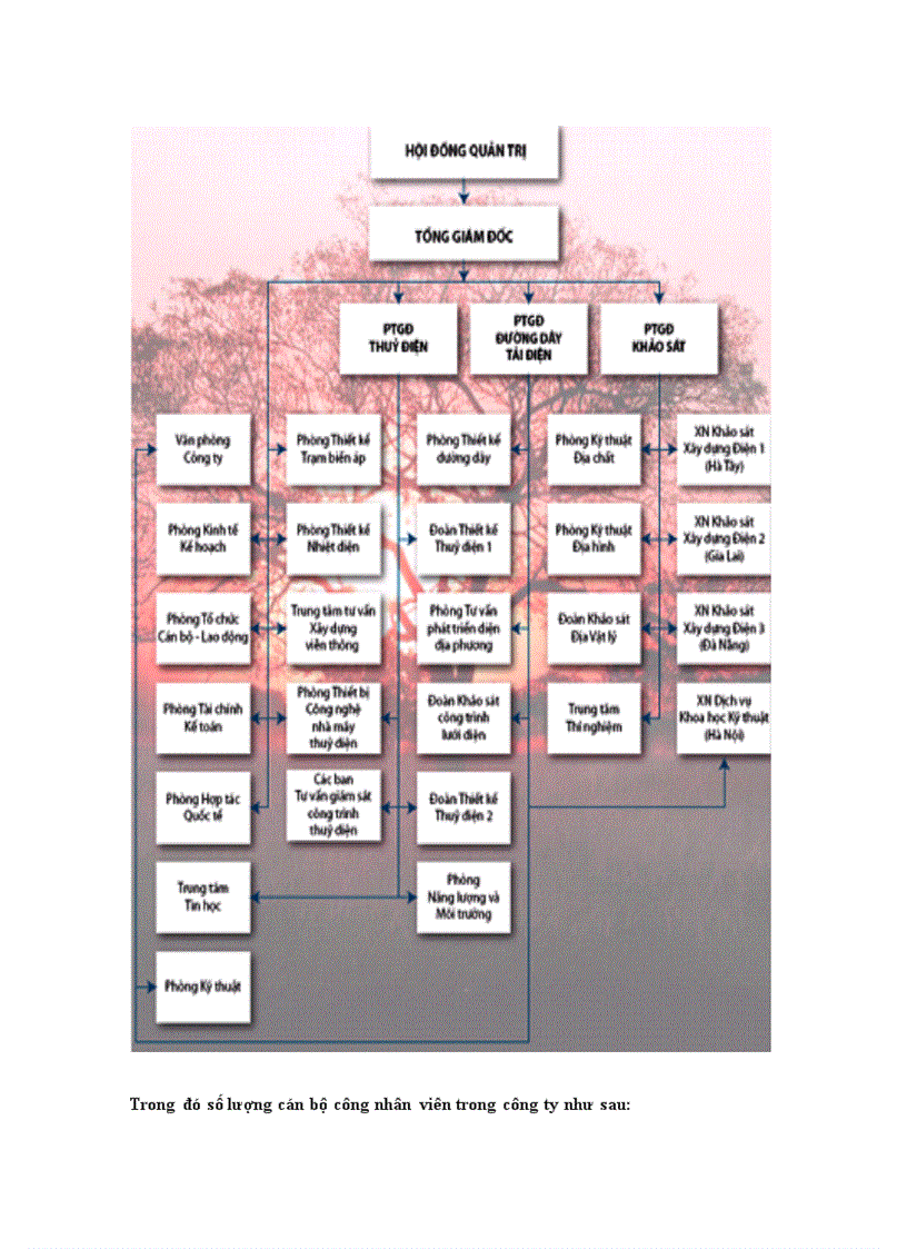 image for page Công tác hạch toán kế toán tại công ty cổ phần tư vấn xây dựng điện 1