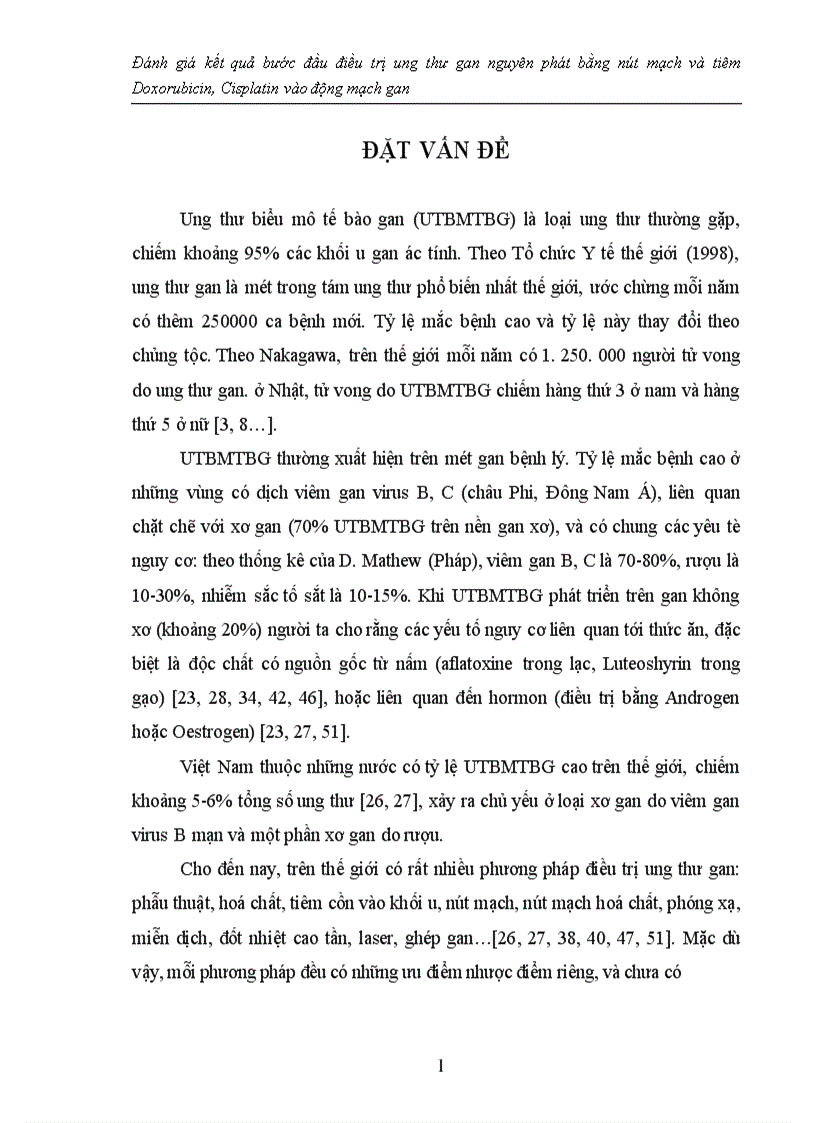 image for page Đánh giá kết quả bước đầu điều trị ung thư gan nguyên phát bằng nút mạch và tiêm Doxorubicin, Cisplatin vào động mạch gan