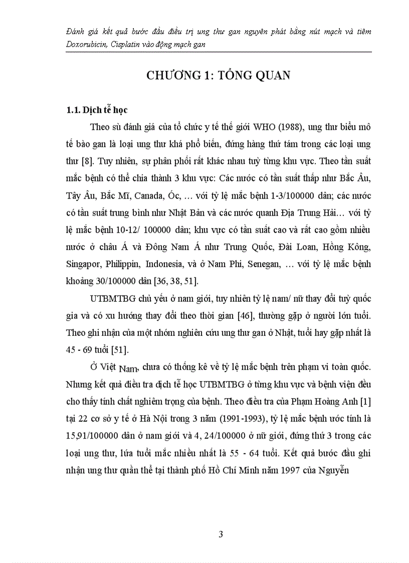 image for page Đánh giá kết quả bước đầu điều trị ung thư gan nguyên phát bằng nút mạch và tiêm Doxorubicin, Cisplatin vào động mạch gan