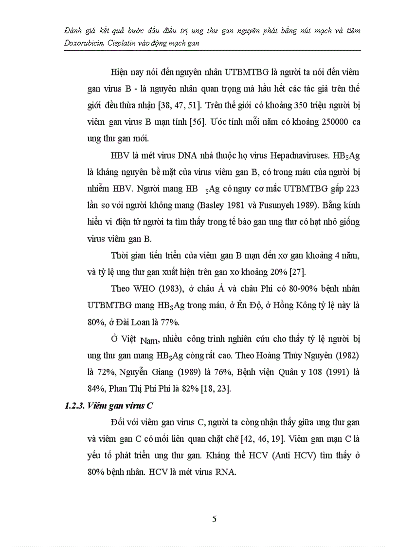 image for page Đánh giá kết quả bước đầu điều trị ung thư gan nguyên phát bằng nút mạch và tiêm Doxorubicin, Cisplatin vào động mạch gan
