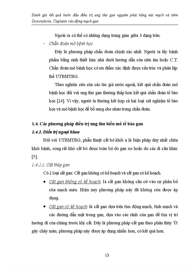 image for page Đánh giá kết quả bước đầu điều trị ung thư gan nguyên phát bằng nút mạch và tiêm Doxorubicin, Cisplatin vào động mạch gan
