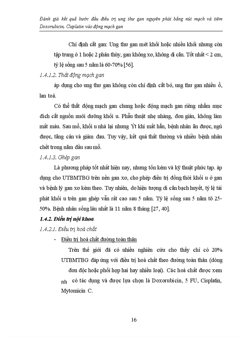 image for page Đánh giá kết quả bước đầu điều trị ung thư gan nguyên phát bằng nút mạch và tiêm Doxorubicin, Cisplatin vào động mạch gan