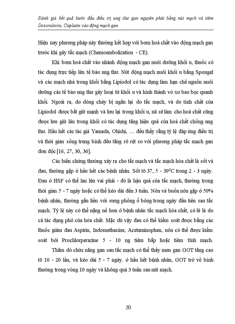 image for page Đánh giá kết quả bước đầu điều trị ung thư gan nguyên phát bằng nút mạch và tiêm Doxorubicin, Cisplatin vào động mạch gan