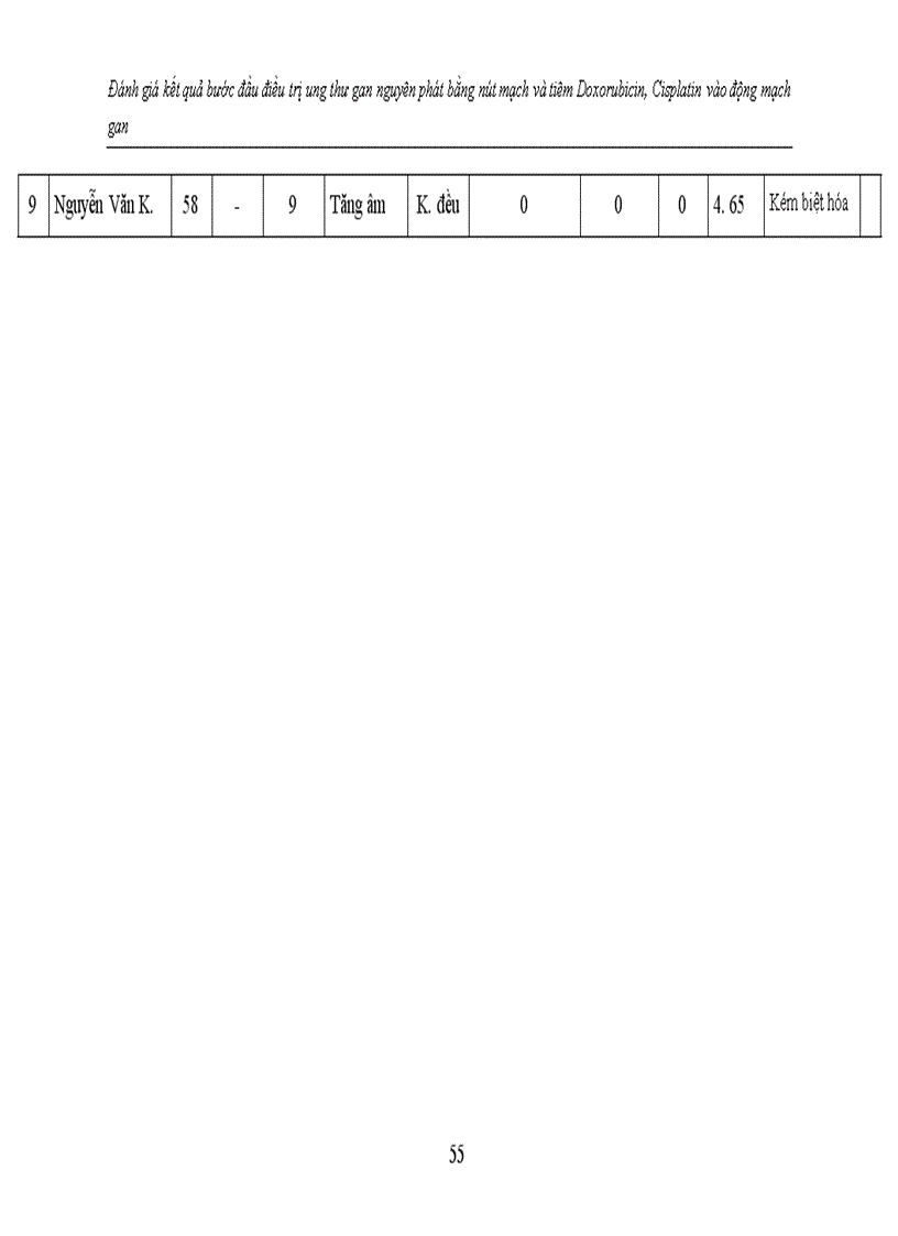 image for page Đánh giá kết quả bước đầu điều trị ung thư gan nguyên phát bằng nút mạch và tiêm Doxorubicin, Cisplatin vào động mạch gan