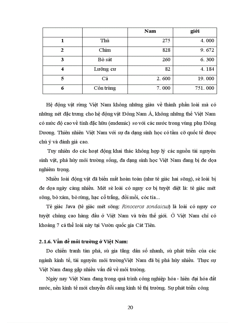 image for page Vấn đề bảo vệ môi trường hiện nay ở Việt Nam