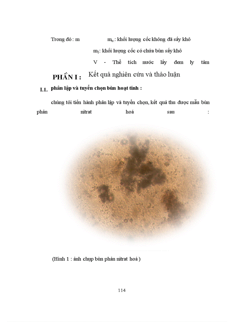 image for page Khảo sát quá trình phản nitrat hoá và nghiên cứu điều kiện xử lý nitơ trong hệ thống SBR thiếu khí