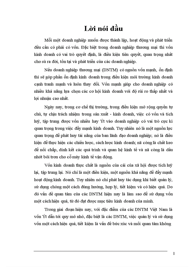 image for page Vốn và hiệu quả sử dụng vốn trong các Doanh nghiệp thương mại