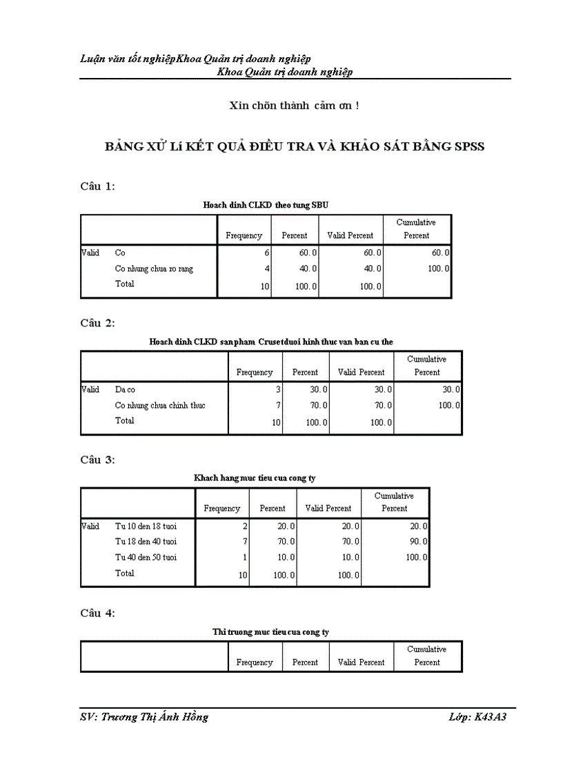 image for page Hoạch định chiến lược kinh doanh của Công ty cổ phần phát triển thương mại Trường Thịnh