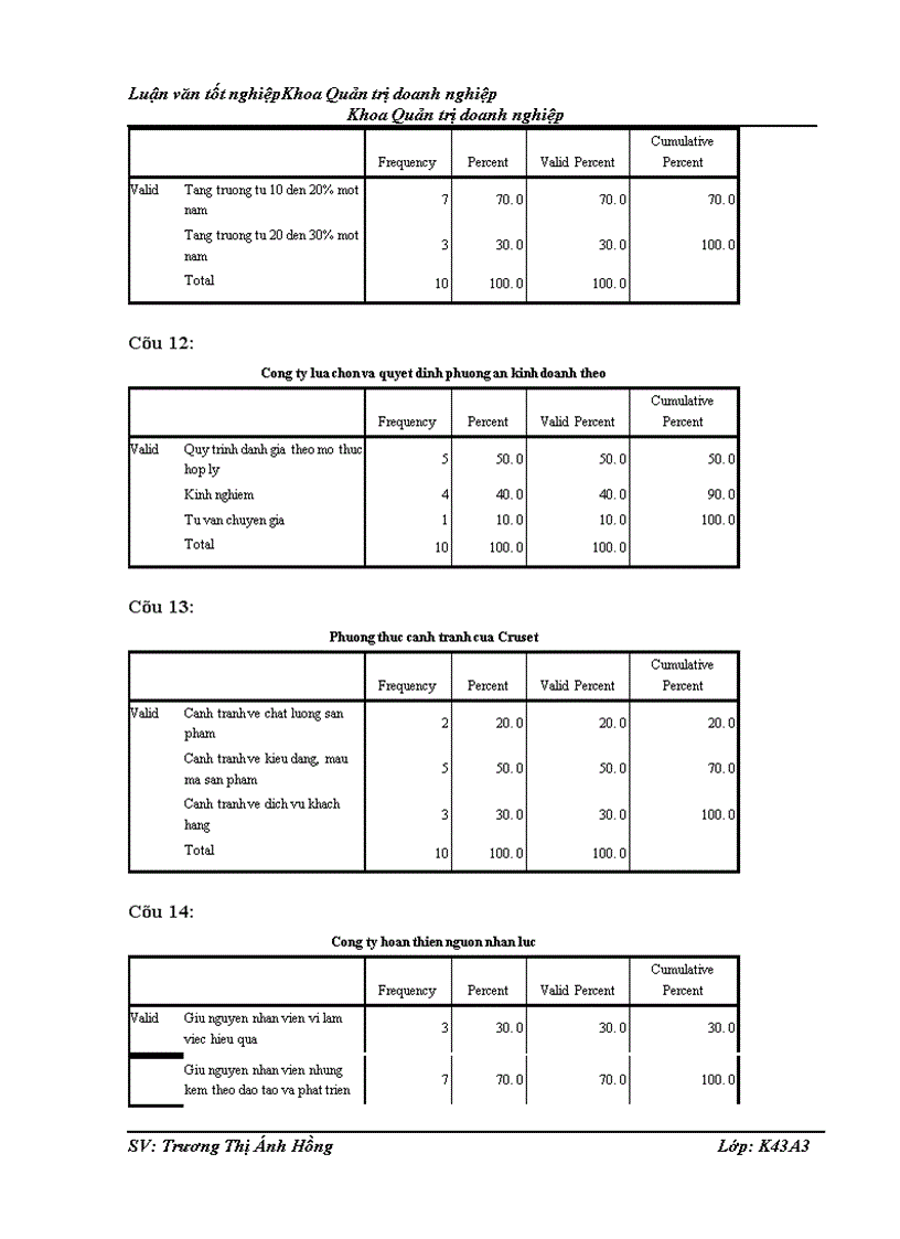 image for page Hoạch định chiến lược kinh doanh của Công ty cổ phần phát triển thương mại Trường Thịnh