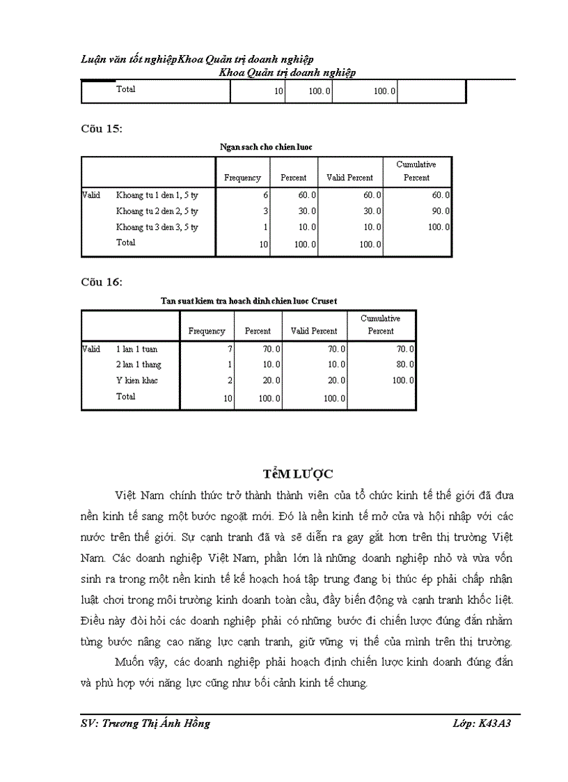 image for page Hoạch định chiến lược kinh doanh của Công ty cổ phần phát triển thương mại Trường Thịnh