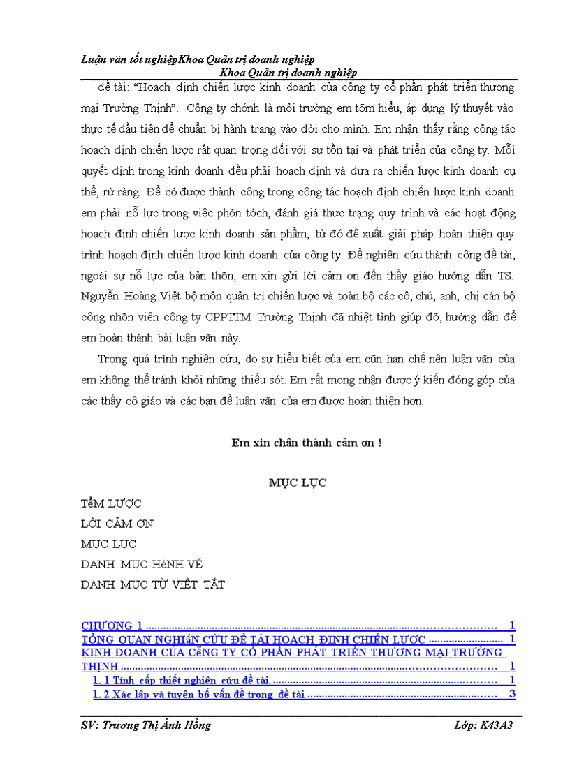 image for page Hoạch định chiến lược kinh doanh của Công ty cổ phần phát triển thương mại Trường Thịnh