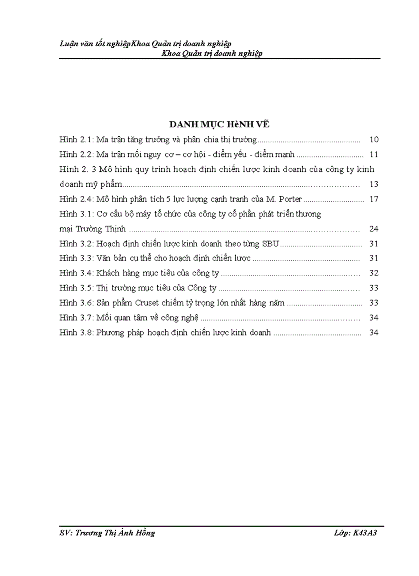 image for page Hoạch định chiến lược kinh doanh của Công ty cổ phần phát triển thương mại Trường Thịnh