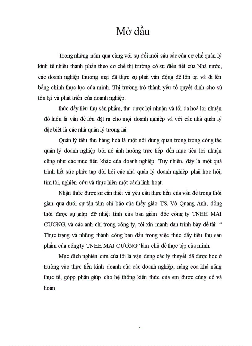 image for page Thực trạng và những thành công ban đầu trong việc thúc đẩy tiêu thụ sản phẩm của công ty TNHH MAI CƯƠNG