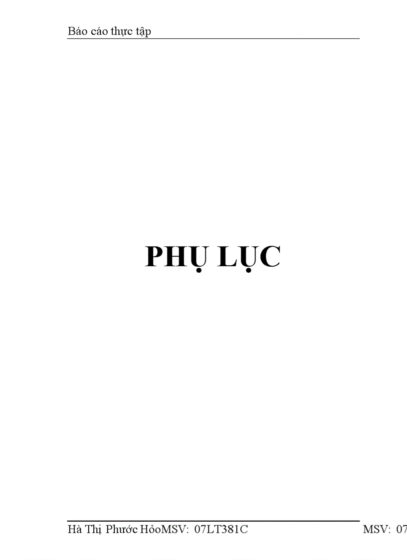 image for page Thực tập Báo cáo thực tập tại Công ty TNHH Hoàn Mỹ